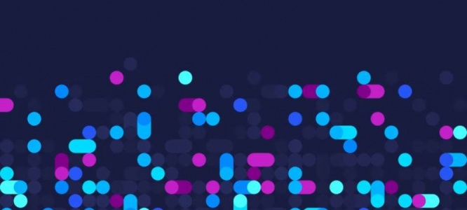 创新赋能!成都网站建设公司探索前沿编程,重塑网站性能新高度