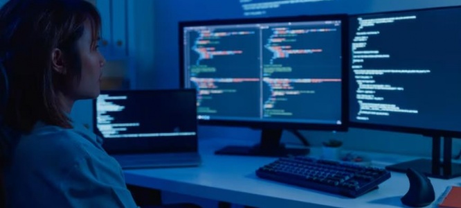 成都中小企业官网定制方案:以自然美学+轻量化设计,破局线上增长困局