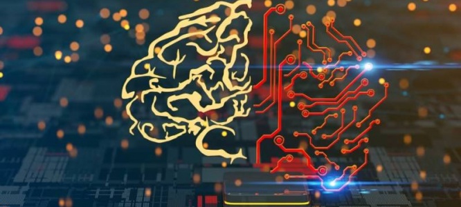 品牌展示型网站定制开发:以专属设计,彰显品牌独特价值