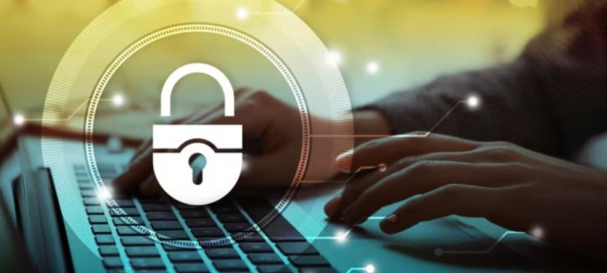 成都网站设计:拟物2.0+微互动,解锁品牌与用户深度连接密码