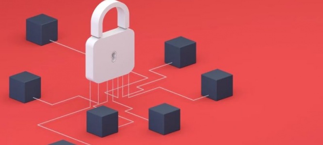 成都本地企业官网建设:一站式包维护,省心省力筑线上根基