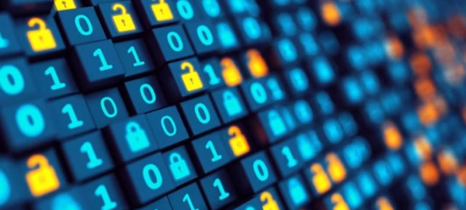 成都本地企业官网建设包维护:以拟物设计2.0+无缝滚动,夯实线上长效根基