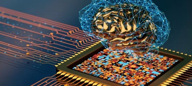 成都企业官网定制:解锁响应式设计,开启全场景适配新体验